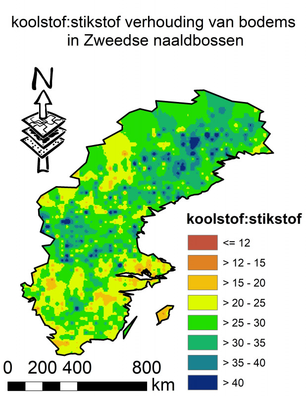 De C:N ratio van bodems in Zweedse naaldbossen