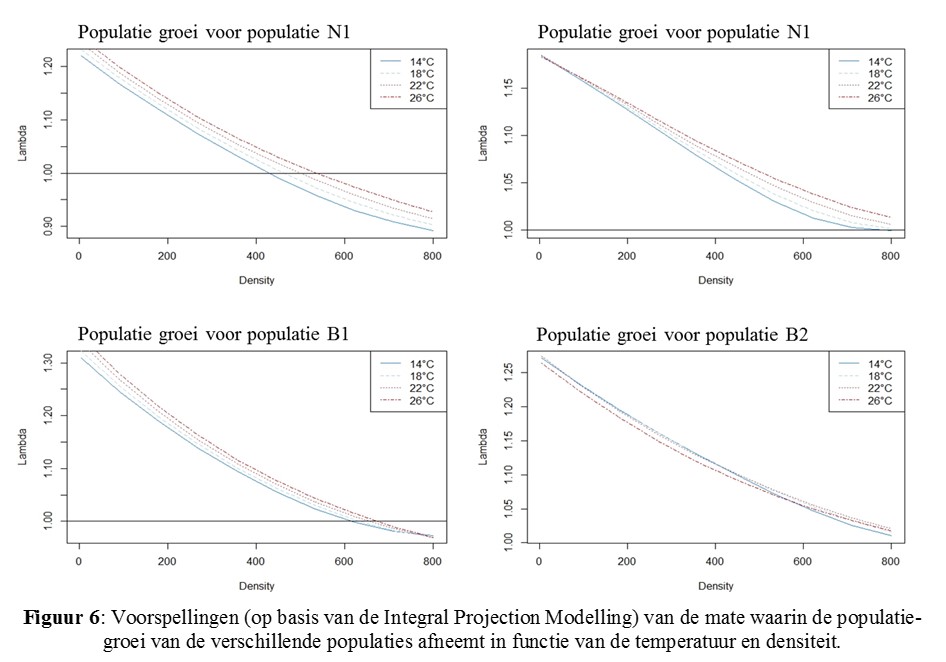 Voorspellingen (op basis van Integral Projection Modelling) van de mate waarin de popualatie-groei van de verschillende populaties afneemt in functie van de temperatuur en densiteit. 