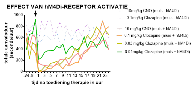 resultaat toevoeging CNO/clozapine aan muizen die hM4Di -/+ zijn