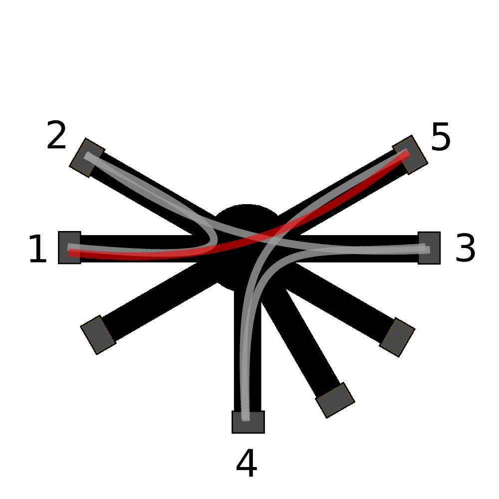 Een cartoon van een 8-arm radiaal doolhof met ongeli- jke hoeken tussen de armen. De licht grijze lijnen stellen het traject van de rat voor en de rode lijn een foutieve armkeuze.