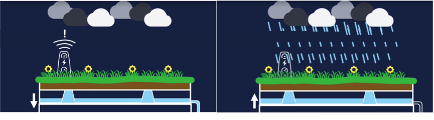 1. Het blauwgroen dak voorspelt hevige regen en leegt zijn buffer (gedeeltelijk). 2. De waterbuffer vangt de nieuwe neerslag op en houdt die zodoende uit het riool. (bron: vrtnws.be)