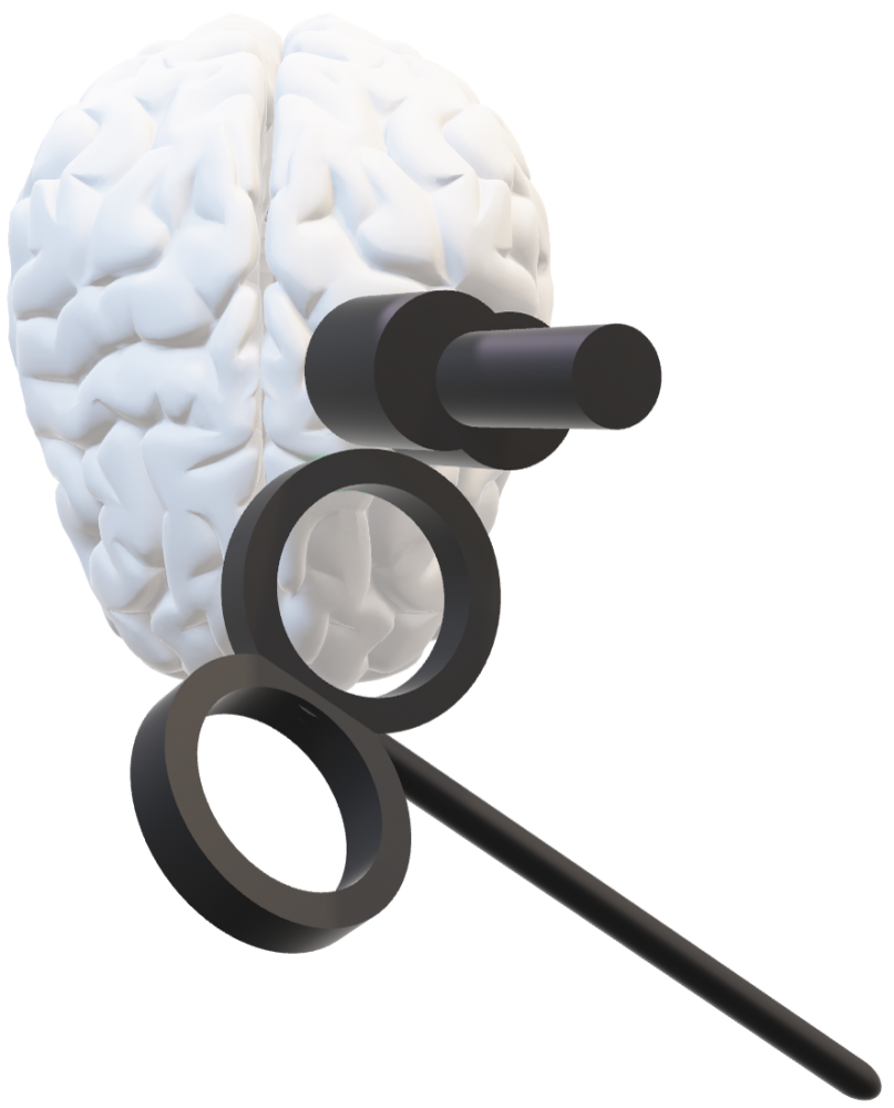 Figuur 2: Plaatsing van de TMS-spoelen ten opzichte van de hersenen. De voorste, grootste spoel was gericht op PMd, de achterste was gericht op M1hand.