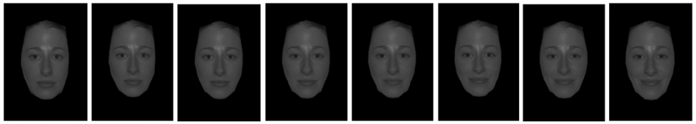 Example of a set of morphed faces (“Happiness”)