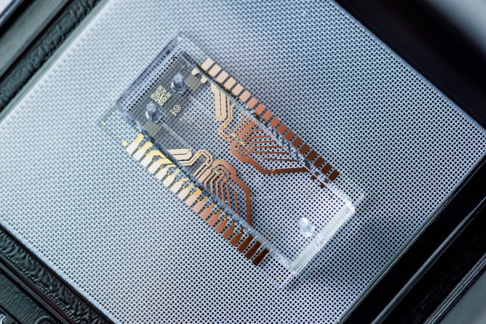 lab on a chip