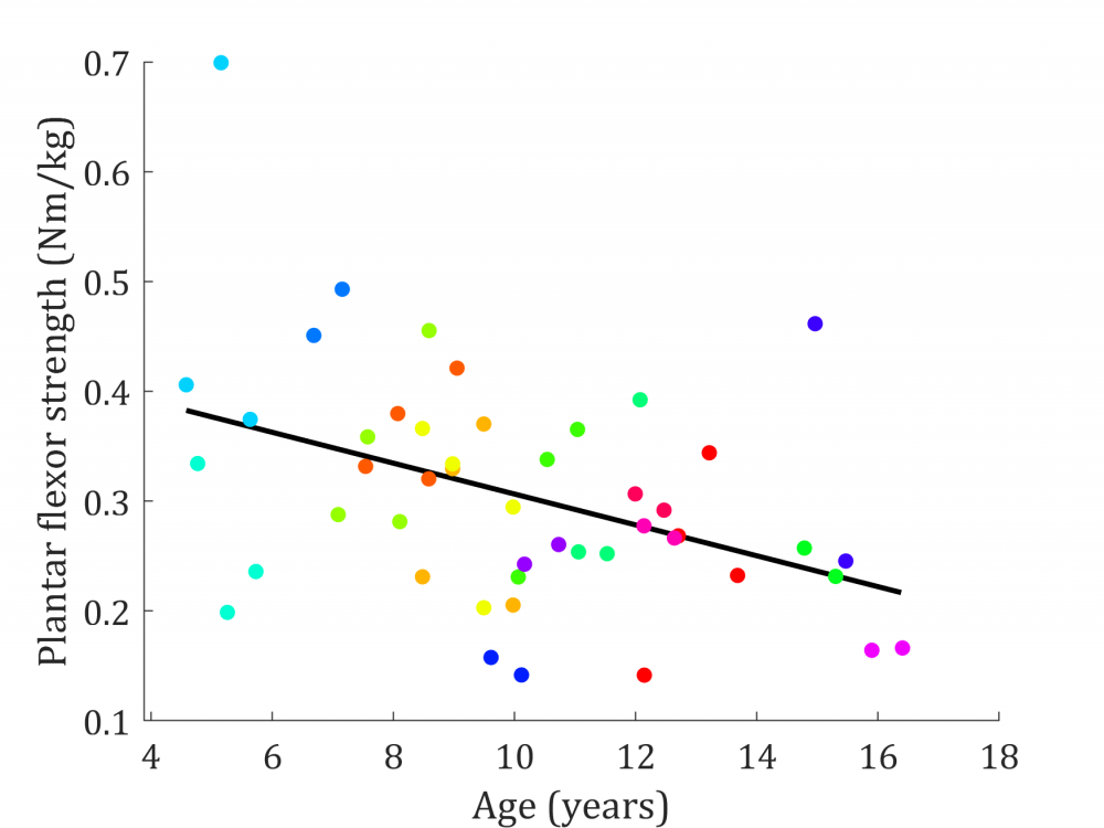 Grafiek 2. Relatie tussen toenemende leeftijd (age) in jaren (years) op de x-as en de afnemende enkelbuigerkracht (plantar flexor strength) in Newton meter per kilogram lichaamsgewicht (Nm/kg) op de y-as. 