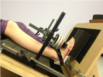Fig. 2b. Opstelling van de krachtmeter in de “krachtstoel” om de spierkracht van de voetheffers te meten. 