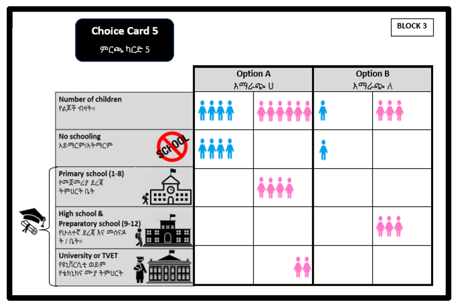 Voorbeeld van een keuzekaart uit het keuze-experiment
