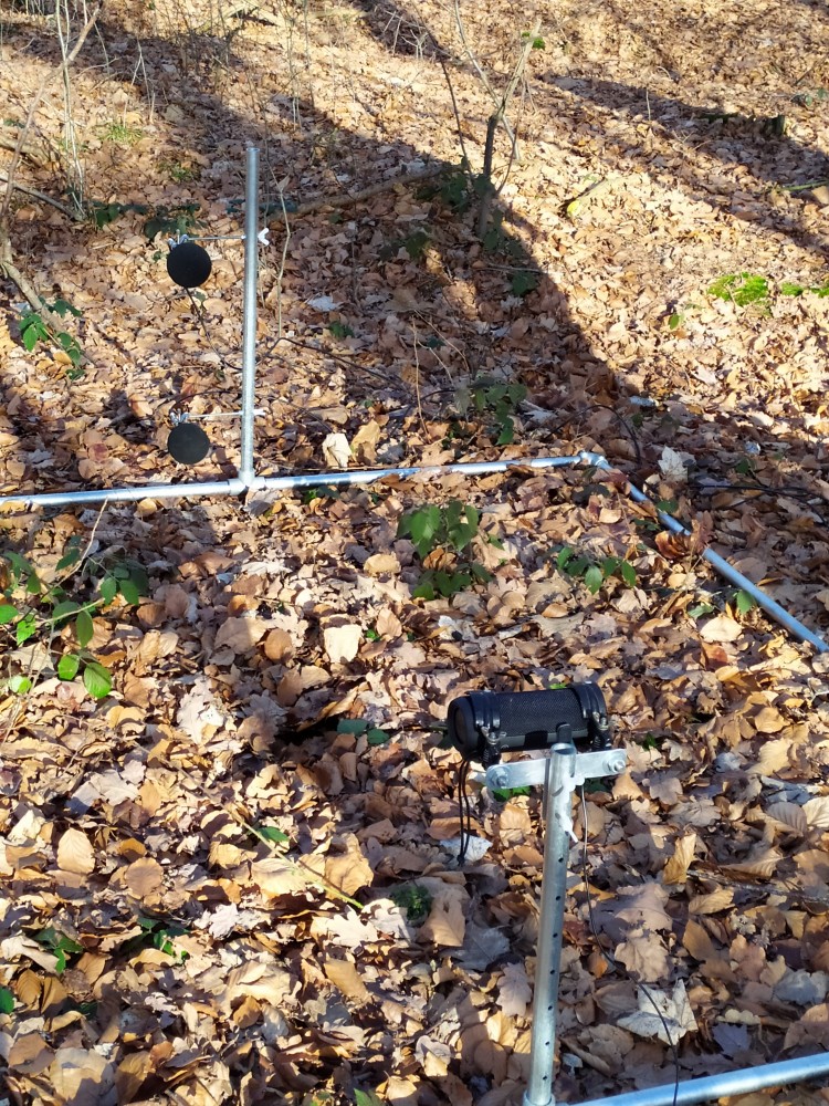 Een luidspreker en twee microfoons staan opgesteld in het bos om metingen uit te voeren.