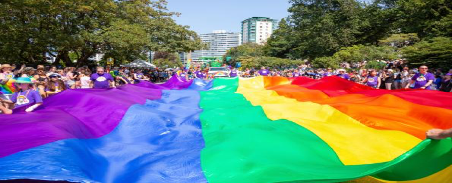 Note: LGBTQ+ vlag tijdens pride. Overgenomen van ATTC: Pride Month 2020: Recovery in the LGBTQ community. In the public domain. 