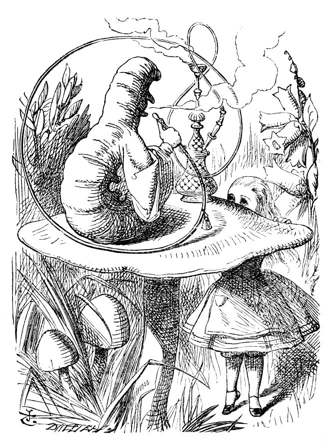 John Tenniel - Drawing Alice in Wonderland - Alice meets the caterpillar