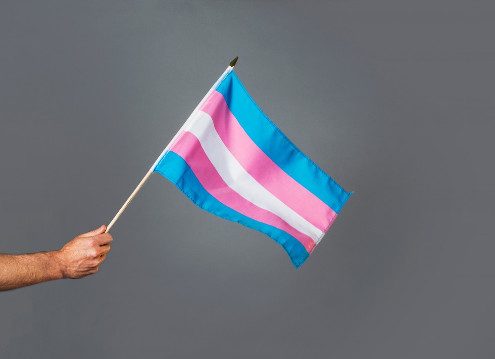 Trans vlag