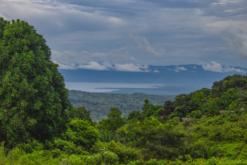 Het Virunga Nationaal Park in Oost-Congo