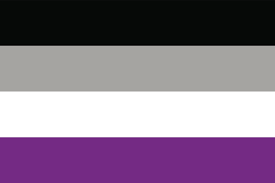 Aseksuele vlag (een horizontale zwarte lijn, daaronder een grijze lijn, daaronder een witte lijn en dan een paarse lijn)