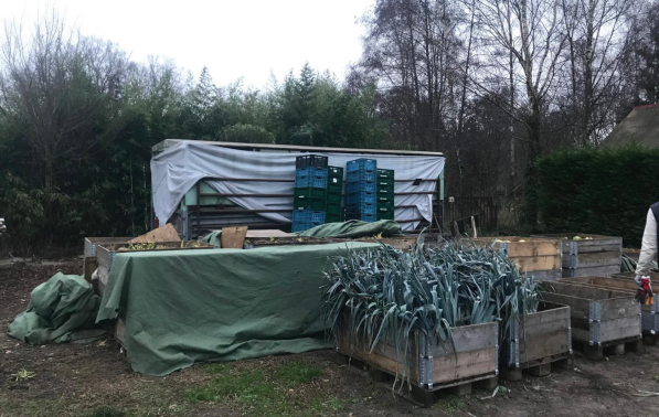Prei in houten kisten en een oude veewagen