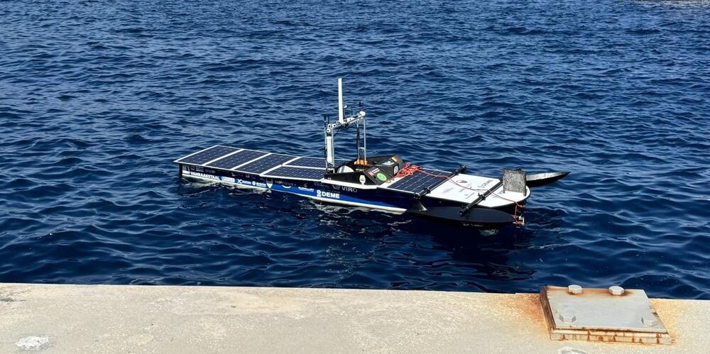 afbeelding - Shark in Monaco