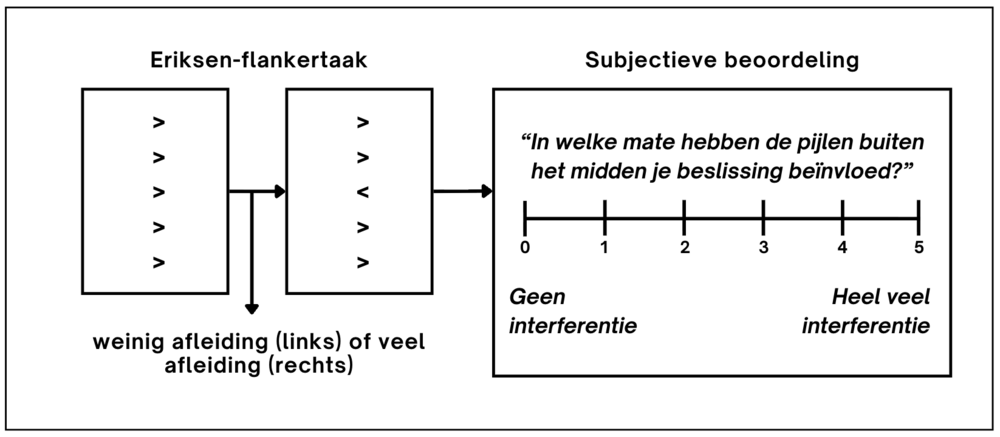 Visualisatie van het experimentele paradigma.