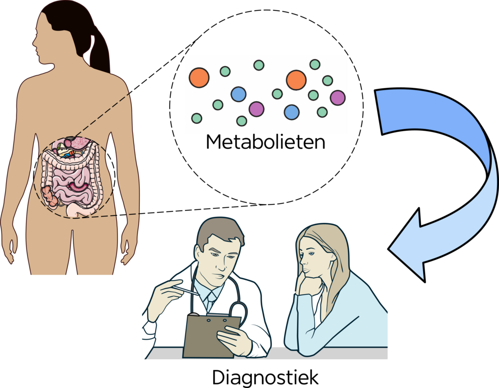 Conceptuele illustratie die de relatie toont tussen het menselijk lichaam, metabolieten en diagnostiek. Links staat een gestileerde menselijke figuur waarbij de interne organen van de buikregio schematisch zichtbaar zijn. Vanuit deze regio loopt een stippellijn naar een centrale cirkel met de titel “Metabolieten”. In deze cirkel zweven meerdere gekleurde stippen van verschillende groottes, die verschillende metabolische moleculen voorstellen. Rechts van de cirkel wijst een grote, gebogen pijl naar beneden. Onderaan de afbeelding zitten een arts en een patiënt aan een tafel, waarbij de arts een clipboard vasthoudt en de patiënt luistert. Onder deze scène staat het woord “Diagnostiek”.
