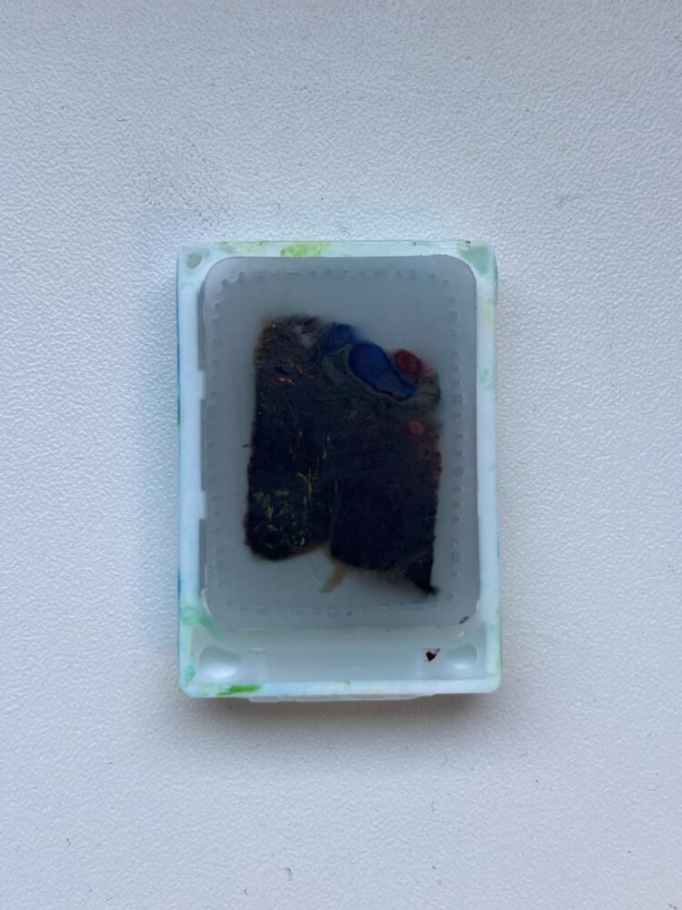 Paraffine blok (Placenta)